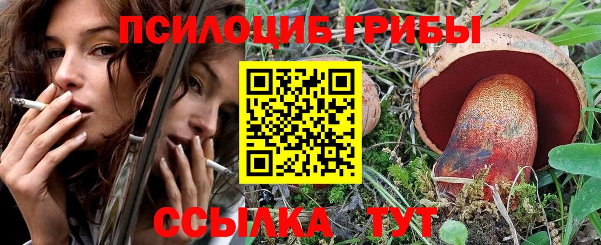 Галлюциногенные грибы GOLDEN TEACHER  Галлюциногенные грибы мухоморы  Вход с VPN  Губкинский 