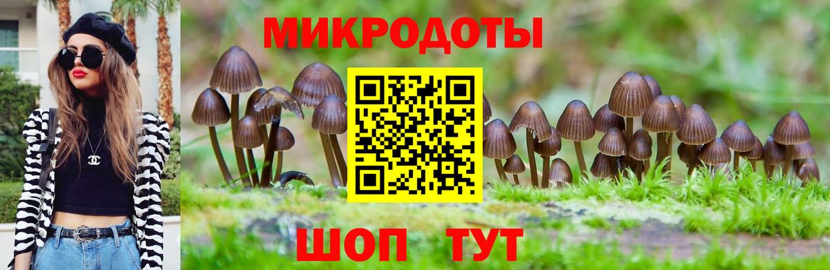 Псилоцибиновые грибы ЛСД Губкинский